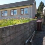 2008-04-20_blarney_24