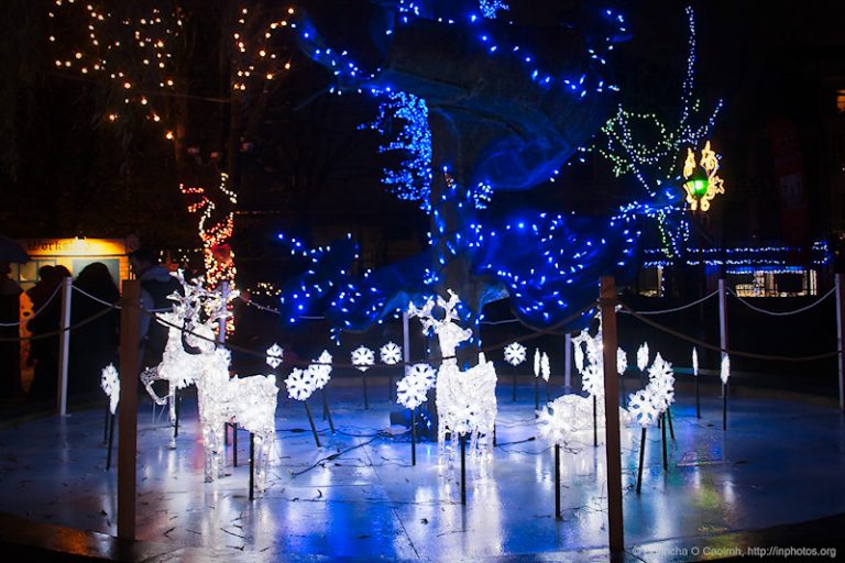 Glassey Bright Reindeer