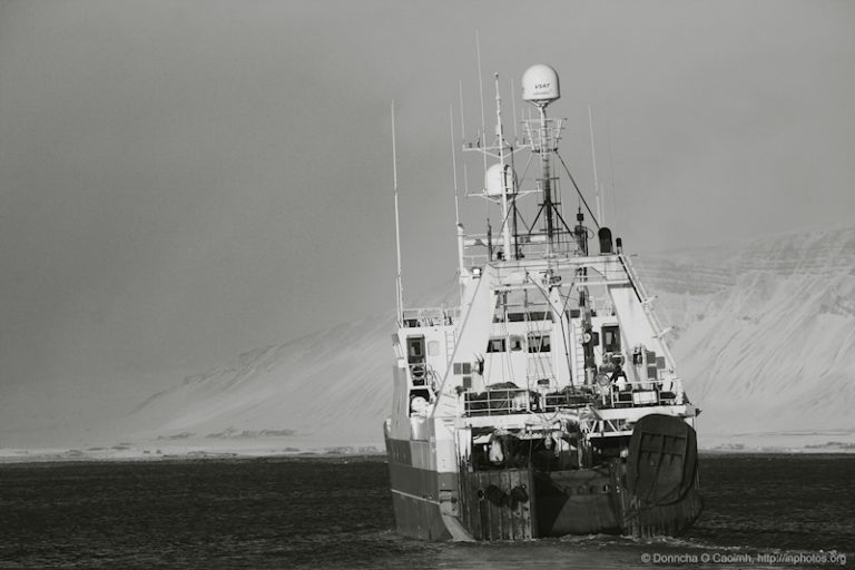 Reykjavik Trawler