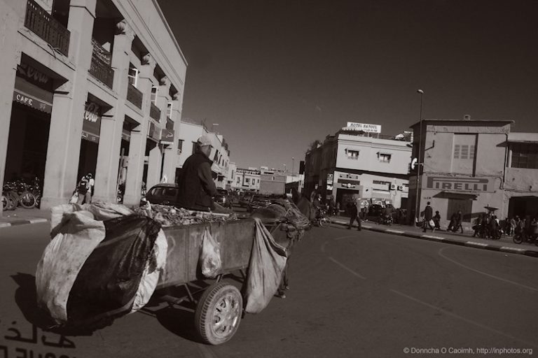 Four legged Traffic in Marrakesh