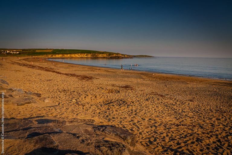 Everyone in for a swim!