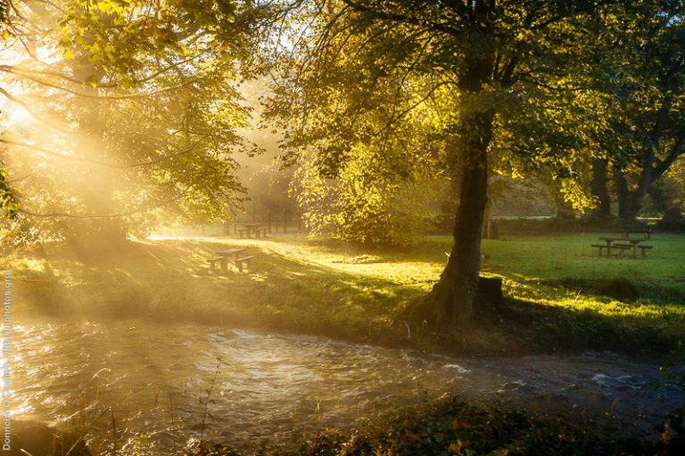 Sunlight on the River