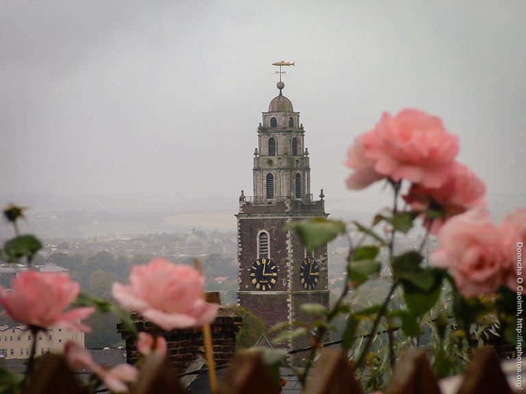 Roses and Shandon Bells