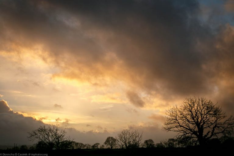 The evening after the storm