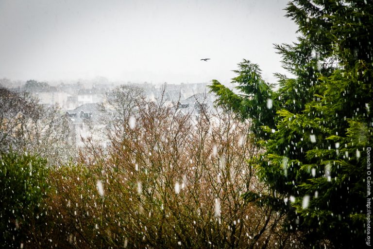 Snow in Blarney