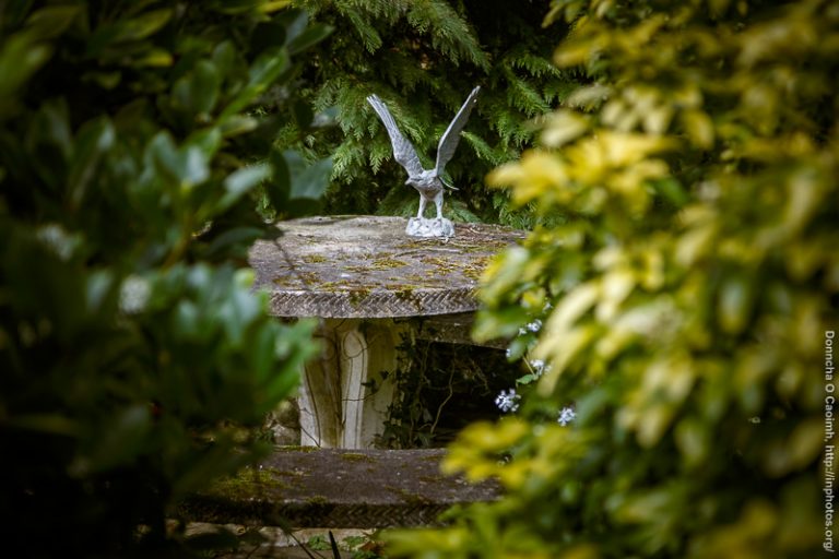 Forever ready to fly