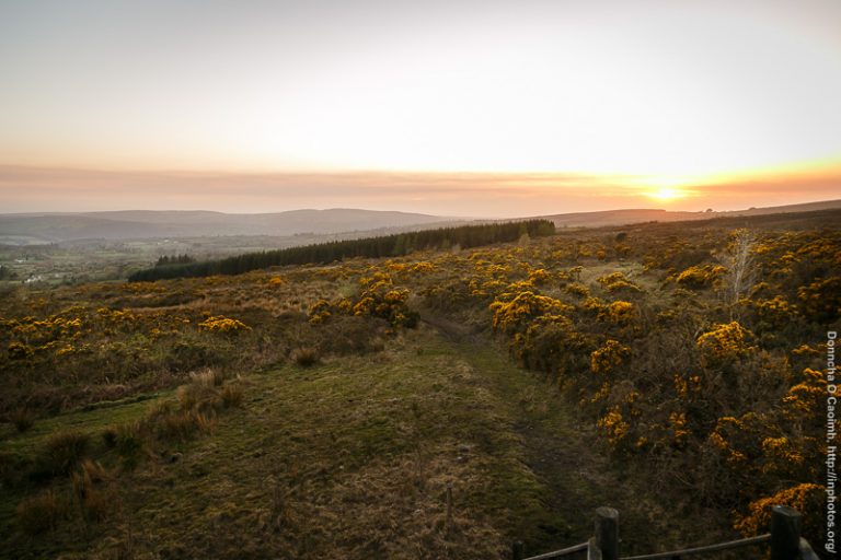 Sunset from the hill