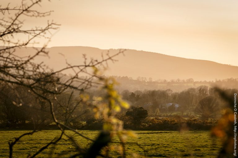 Sunset on farmland