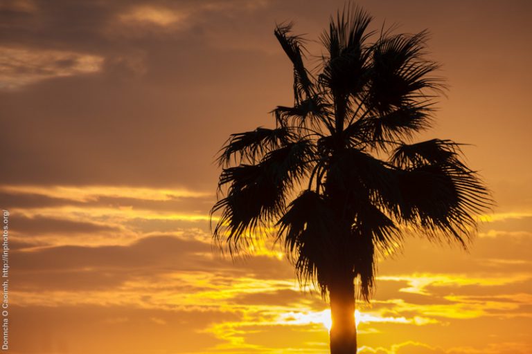 Sunset in El Puerto de Santa Maria