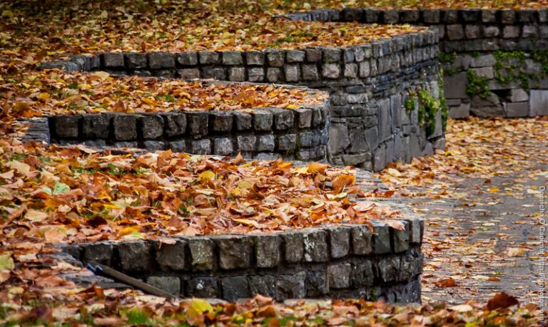 Autumn in Fitzgerald Park