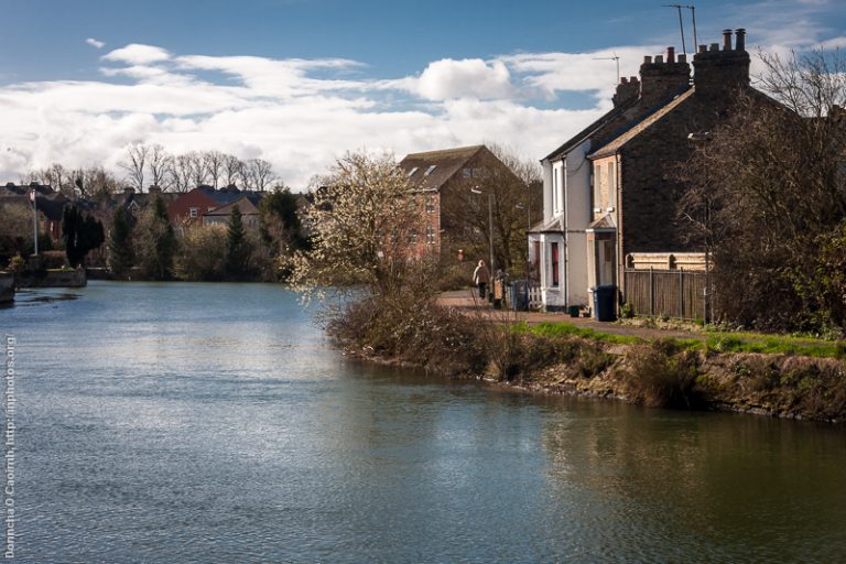 Houses by the River