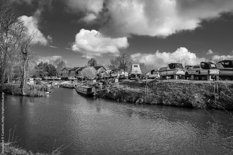 Boats for sale or rent