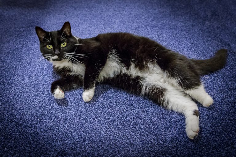 Hoppy says Happy Christmas!