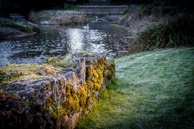 Spotlight on Blarney Castle