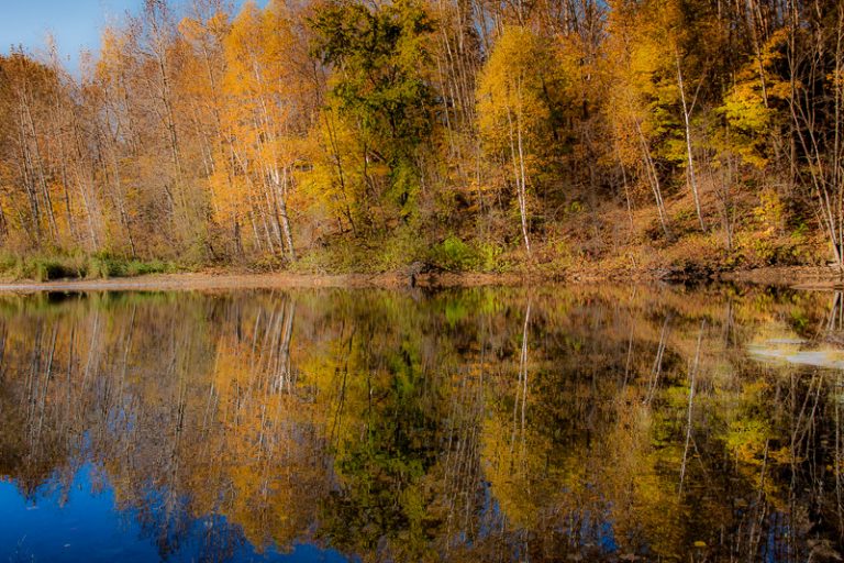 Reflection of Autumn