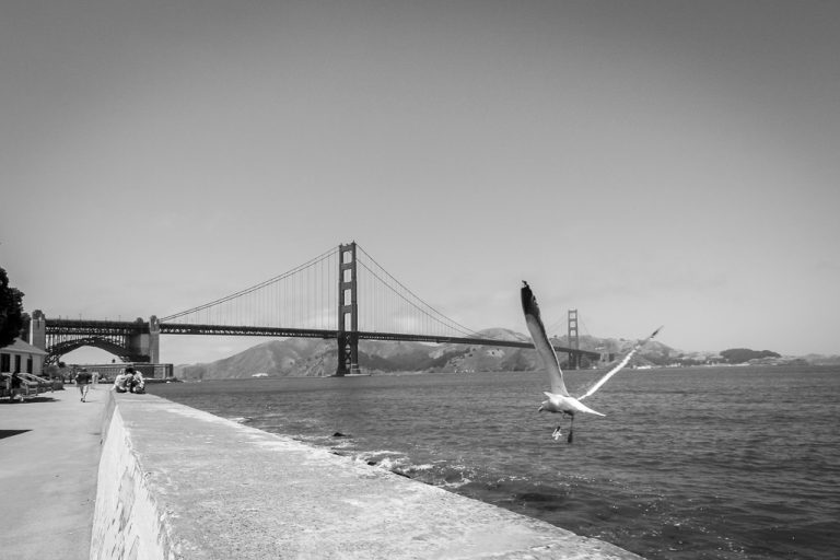 Golden Gate Bridge, 2006