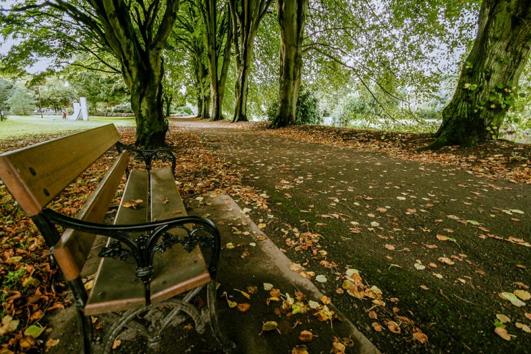 Seating in Fitzgerald Park