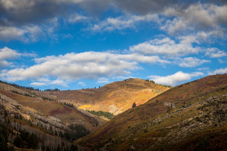 Lightroom Tips and Videos