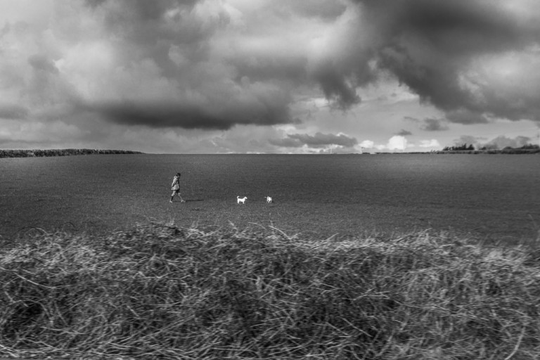 From the Cork-Dublin Train