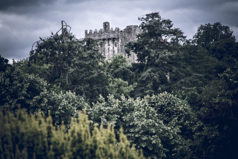 Blarney Castle in the Trees