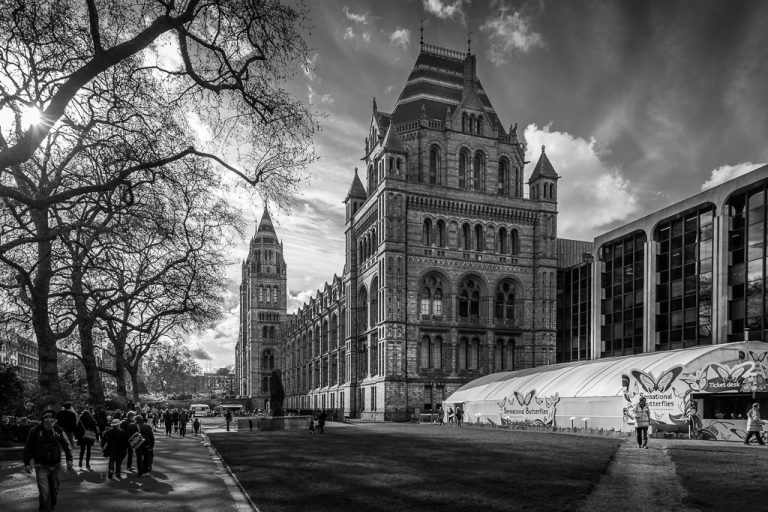 The Natural History Museum, London
