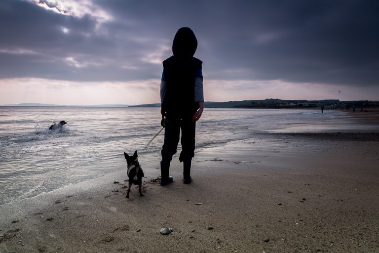 Watching the incoming tide