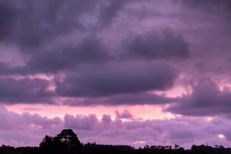 A Purple Sunrise