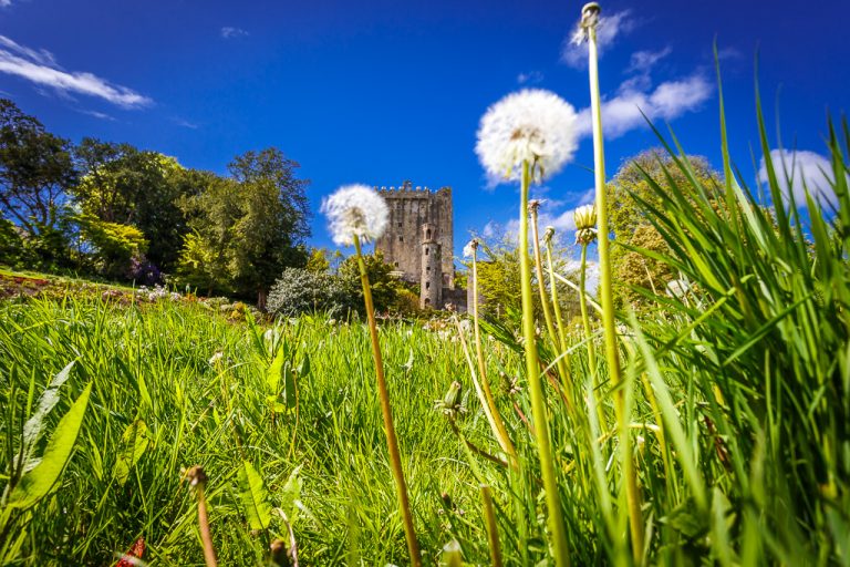 Blarney Castle in the Sun