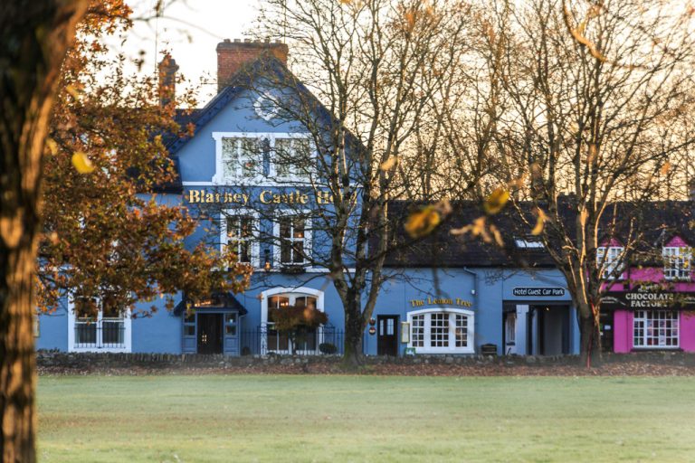 Morning Fog in Blarney