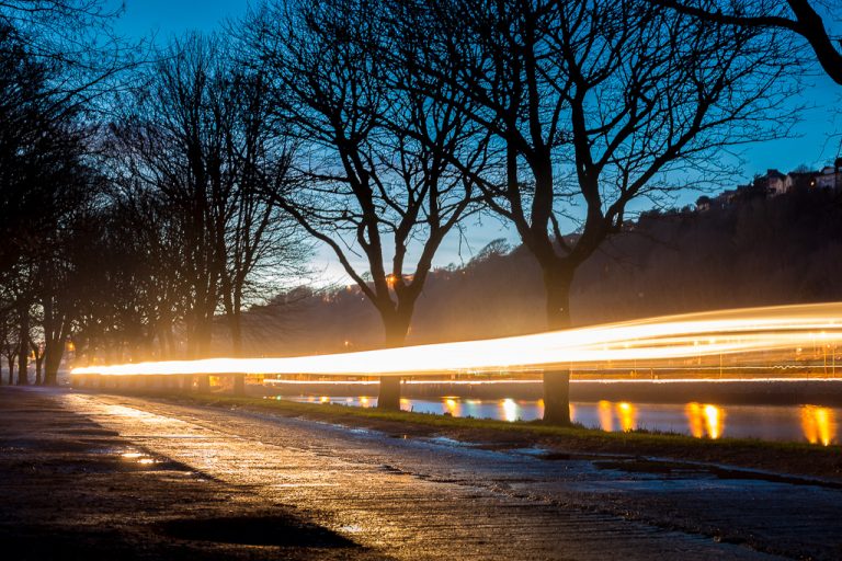 Lights Along the Marina