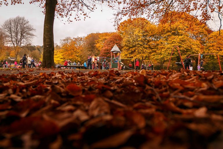 Autumn Colours on the Ground