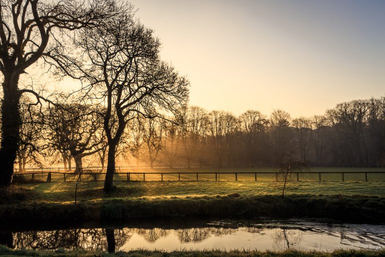 Sunlight through the mist