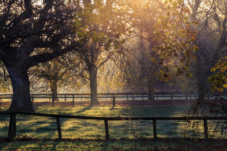 Light Rays in Blarney