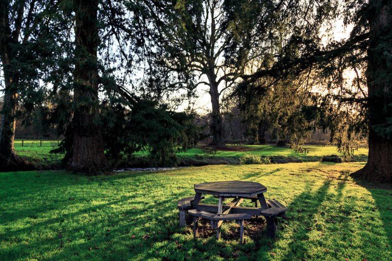 Garden Table in the morning