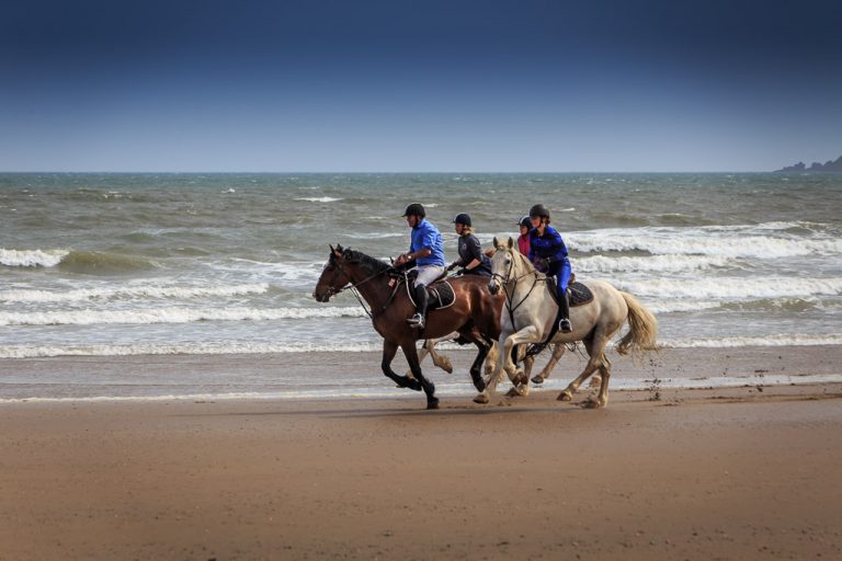 Horses on Youghal Beach