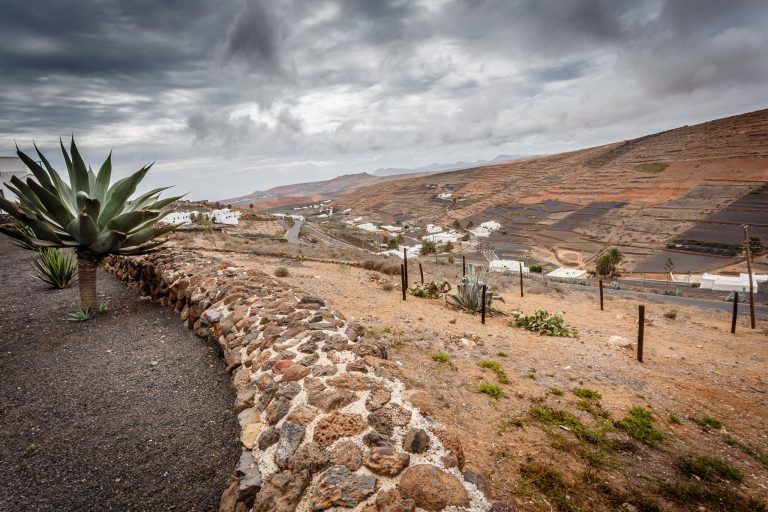 The hills of Lanzarote