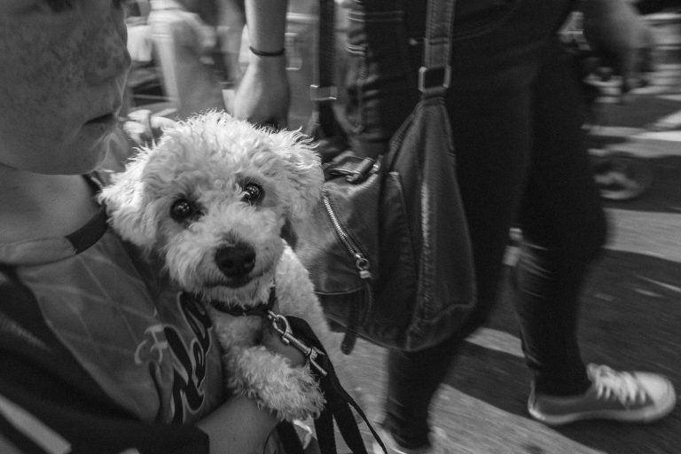 Protect me from the maddening crowd