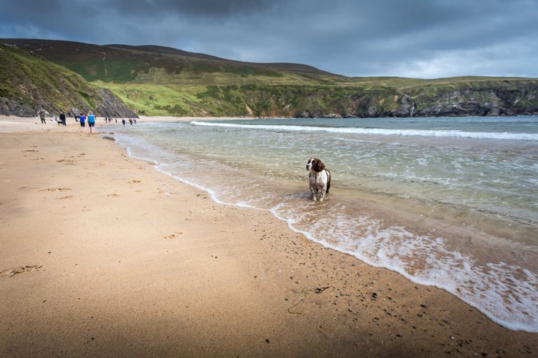 The Dog on Silver Strand