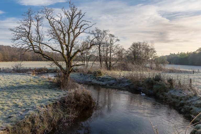 The River Shournagh in the Snow