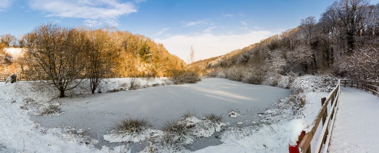 The Mill Pond on The River Martin
