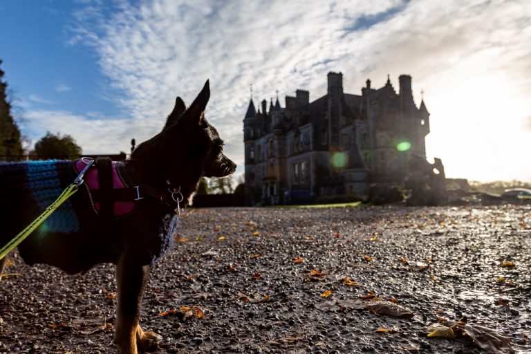 Diego in the Castle Grounds