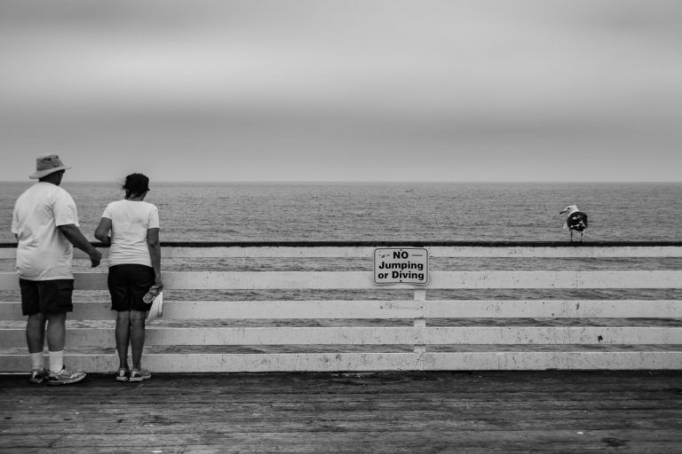 No Jumping or Diving