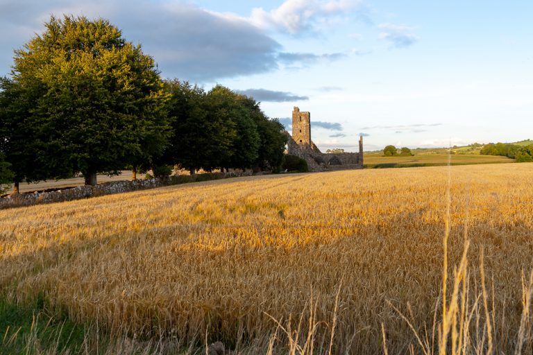 Kilcrea Friary in the Sun