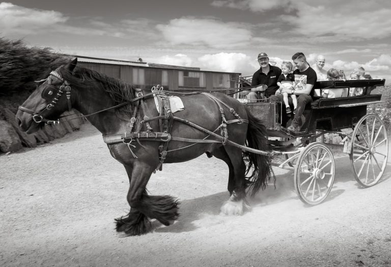 Pony and Trap at Tír na Sí