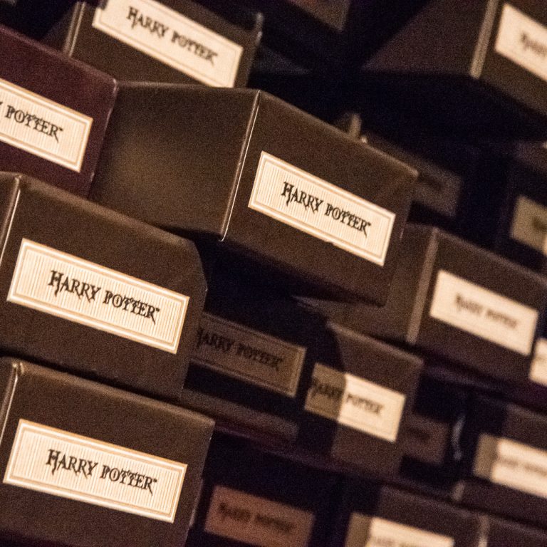 Harry Potter’s Wand