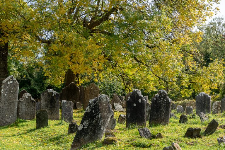 The Old Graveyard in Innishannon
