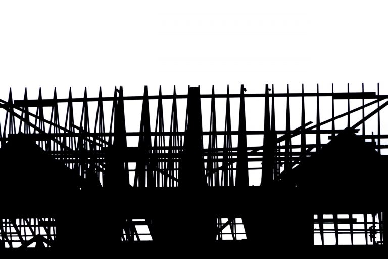 The Skeleton of a House