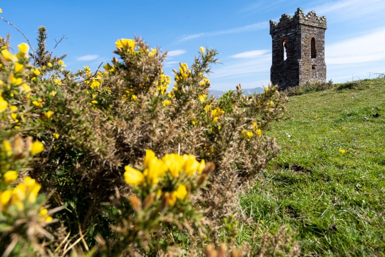 Hussey’s Folly and Yellow