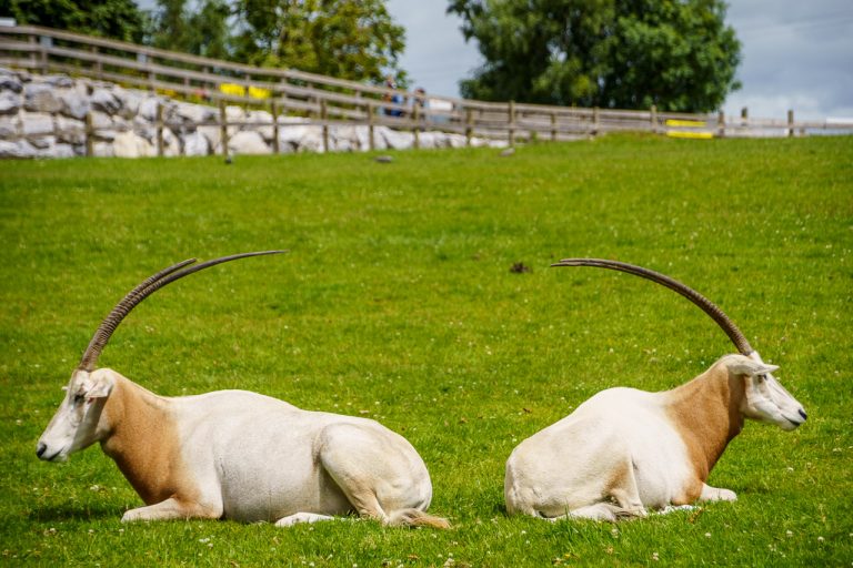 Well I'm not talking to you either