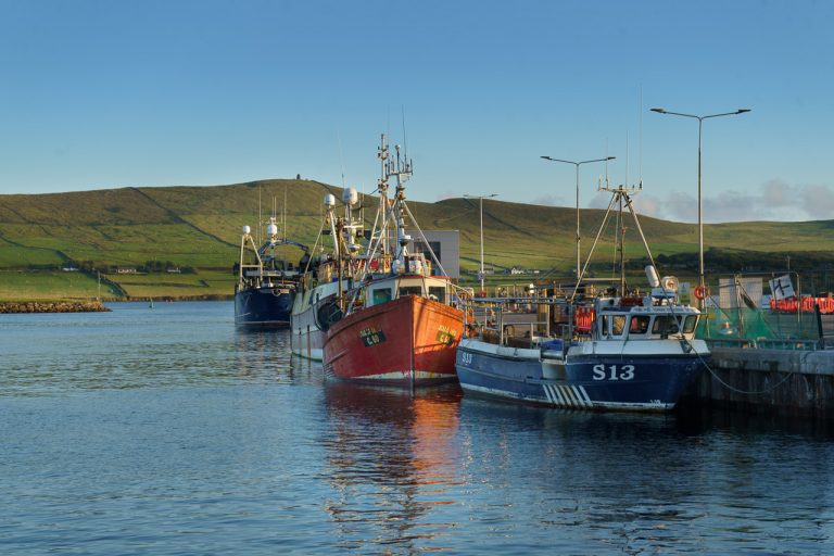 Boats in Dingle Harbour